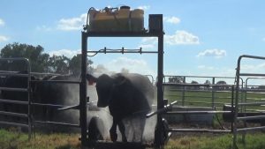 Photo of Cow Sprayer automated pest spray equipment